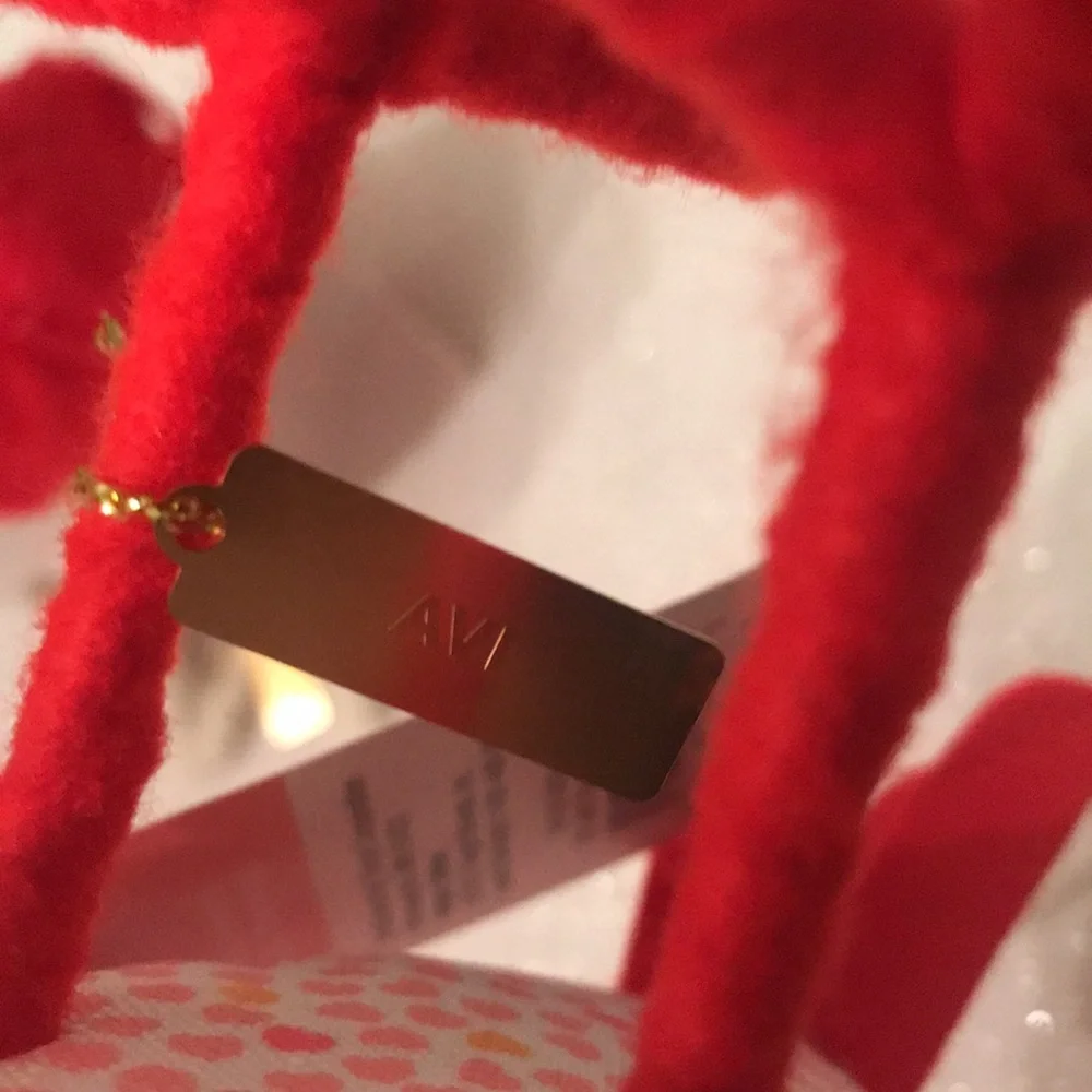 Target 2023 Spritz Featherly Friends Valentine’s Day Birds